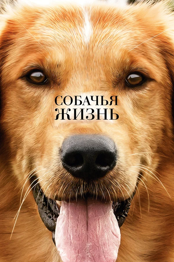 Собачья жизнь — постер фильма