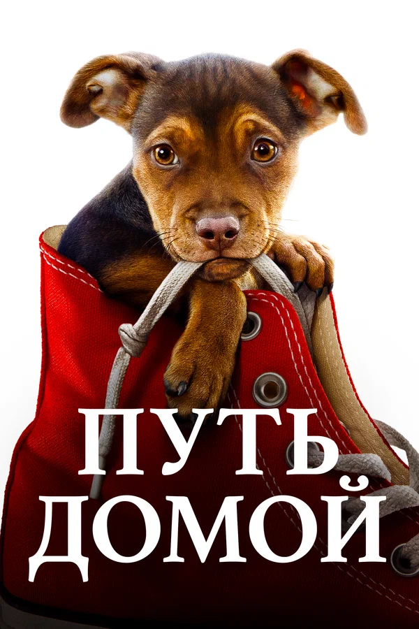 Путь домой — постер фильма