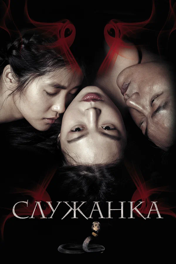 Служанка — постер фильма