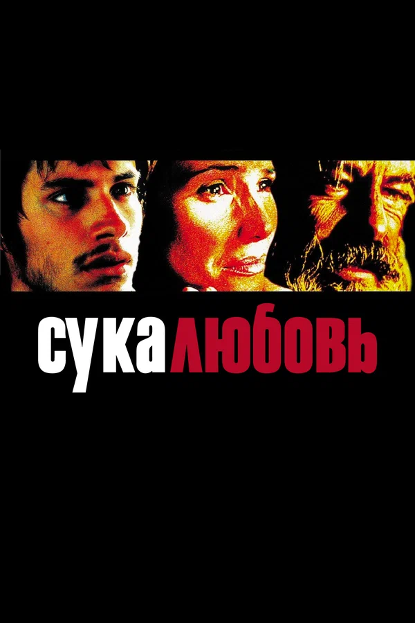 Сука-любовь — постер фильма