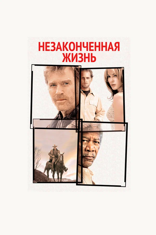 Незаконченная жизнь — постер фильма