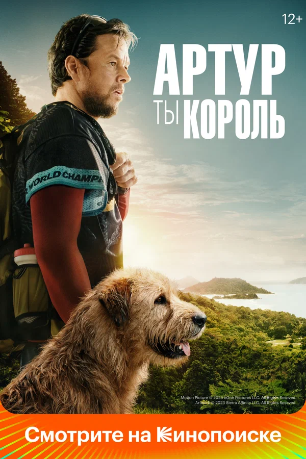 Артур, ты король — постер фильма