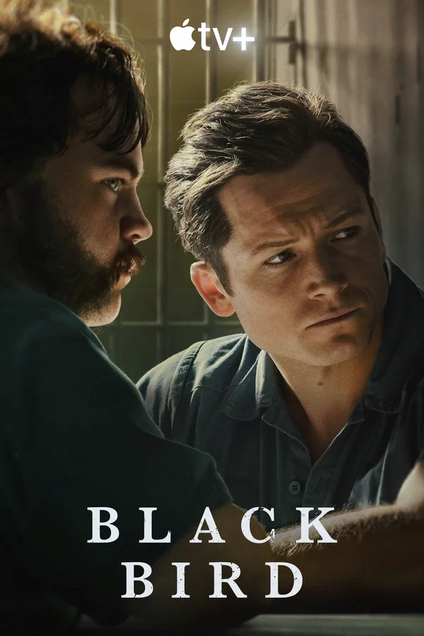 Чёрная птица — постер сериала