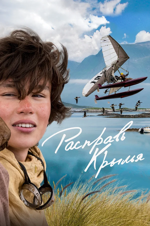 Расправь крылья — постер фильма