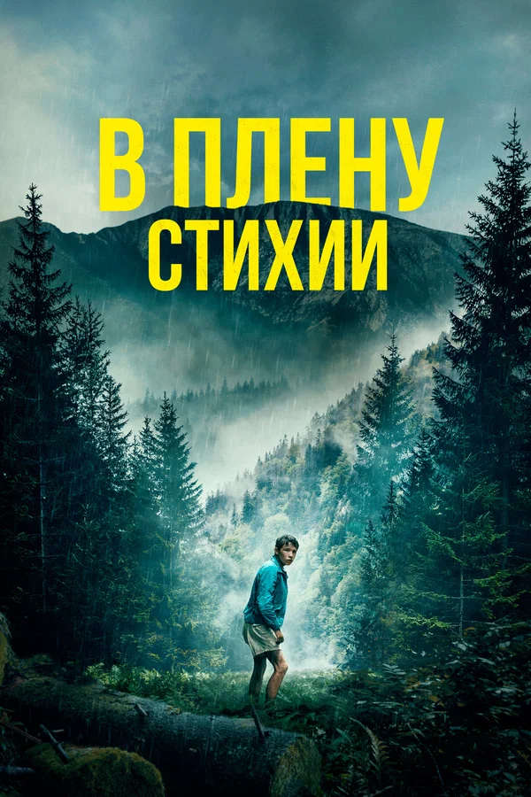 В плену стихии — постер фильма