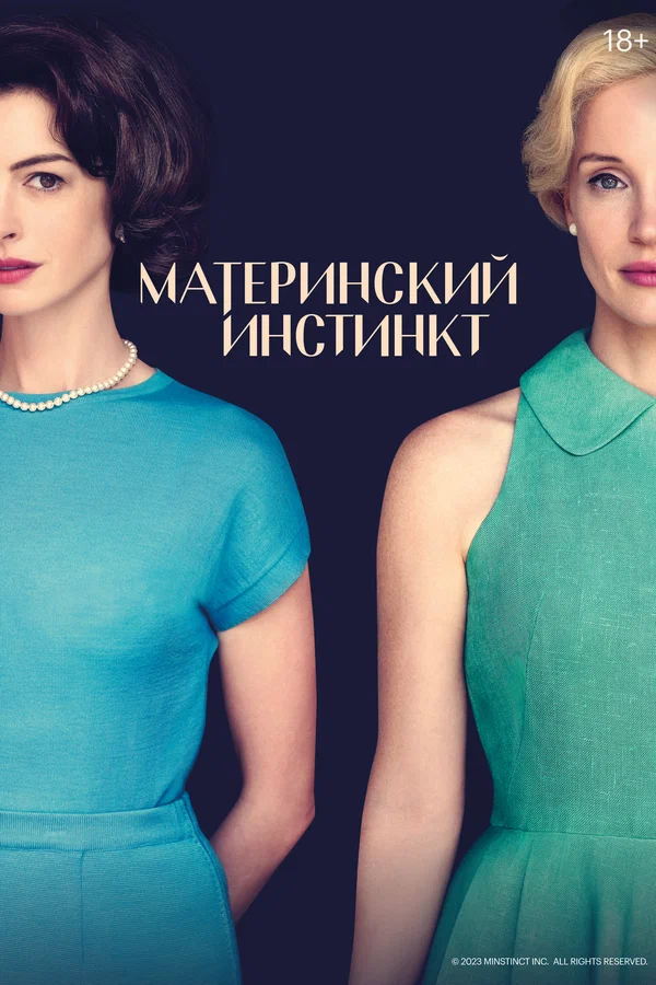 Материнский инстинкт — постер фильма