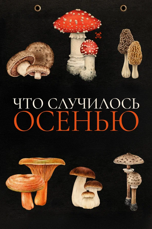 Что случилось осенью — постер фильма