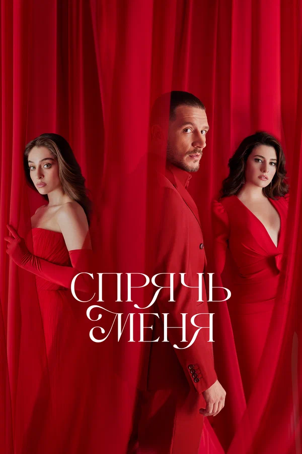 Спрячь меня — постер сериала