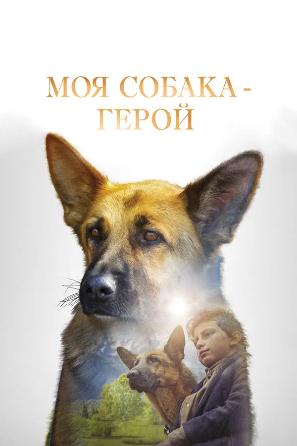 Моя собака — герой — постер фильма