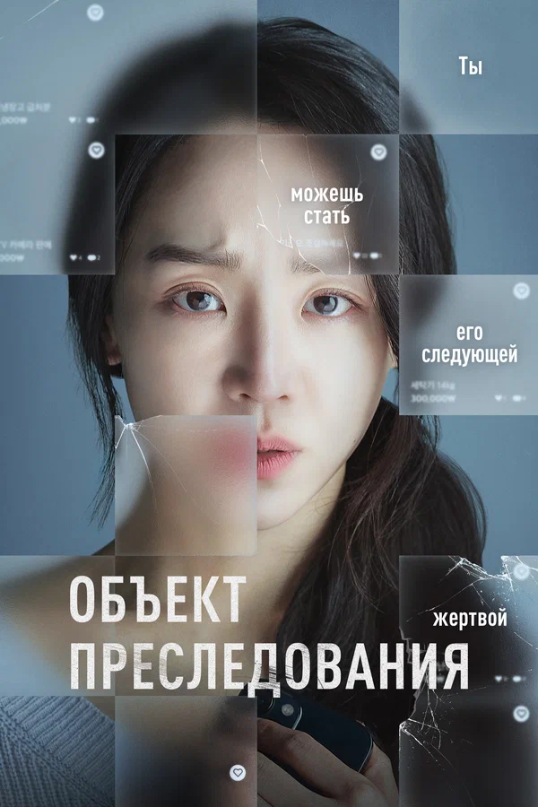 Объект преследования — постер фильма