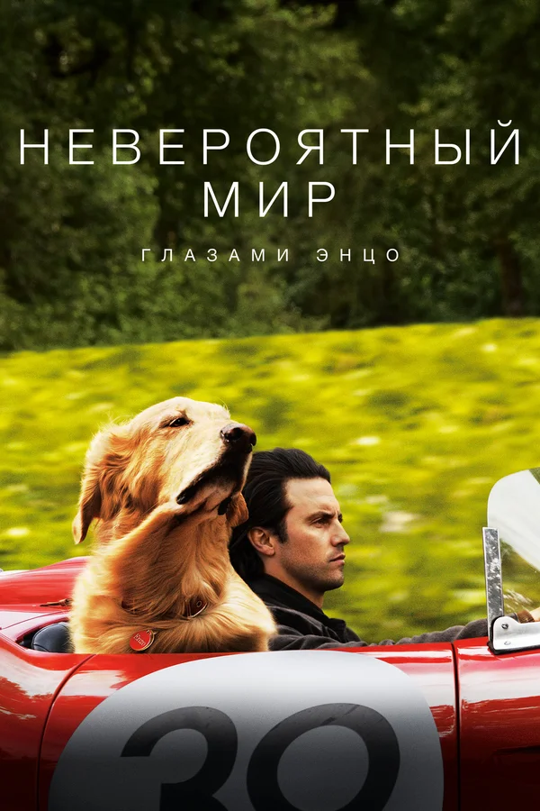 Невероятный мир глазами Энцо — постер фильма