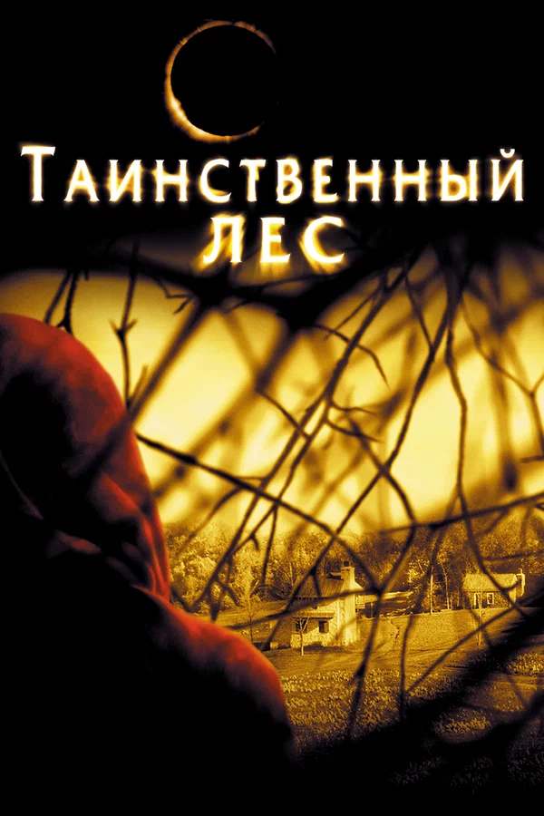 Таинственный лес — постер фильма